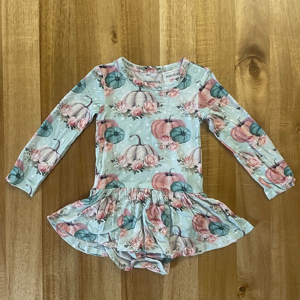 Posh Peanut Floral Pumpkin Twirl Dress - Mint and Pink, 12-18m